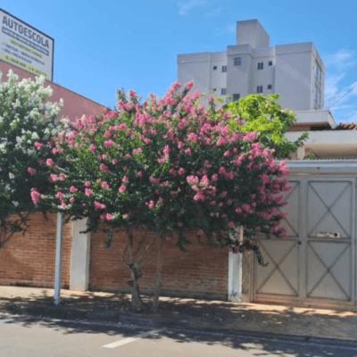 PARTE IDEAL DE 50% CASA 223,05m² – JD. MACARENGO – SÃO CARLOS