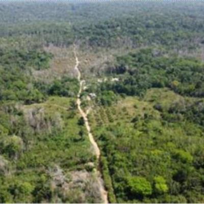 Presidente Figueiredo/AM | 1 Lote de Terras | Área de 3.000ha | Comunidade do Maruaga | Presidente Figueiredo/AM