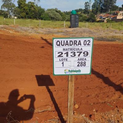 QUADRA 02, LOTE 01, AVENIDA COMERCIAL DO VALLE, LOTEAMENTO VIA COMERCIAL DO VALLE, PEDRINÓPOLIS/MG, ÁREA DE 288,00 M². MATRÍCULA: 21379. NO ESTADO EM QUE SE ENCONTRA.