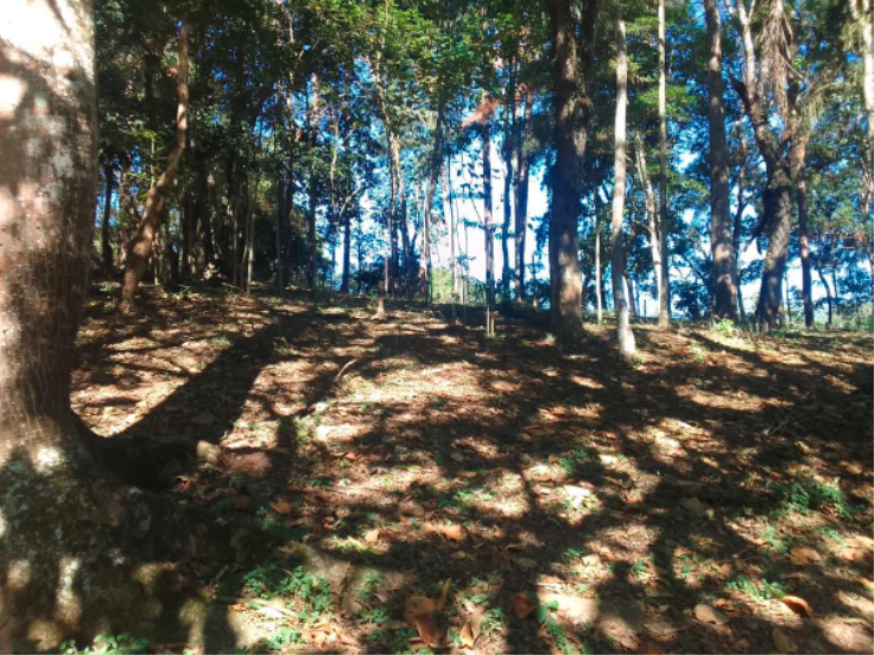 Foto ilustrativa 2 - Santa Isabel (SP) | Terreno 1.420m² | Chácaras Reunidas Canadá