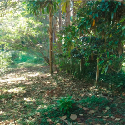 Santa Isabel (SP) | Terreno 1.597m² | Chácaras Reunidas Canadá