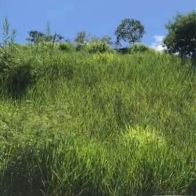 Santa Lúcia – Belo Horizonte/MG