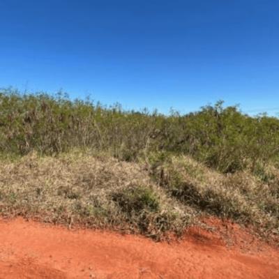 Terreno com A.T 301,11m²