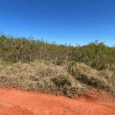 Terreno com A.T 301,11m²