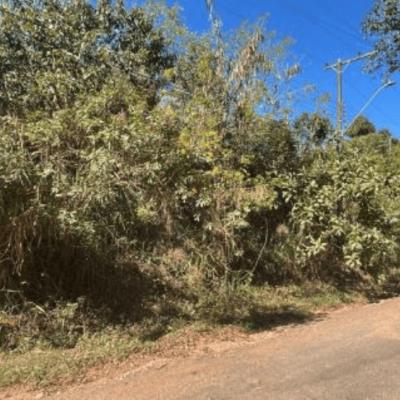 Terreno com A.T 356,25m²