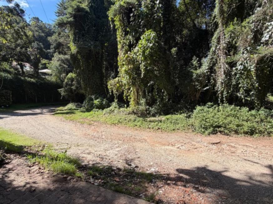 Foto ilustrativa 31 - Terreno de 2.583m²