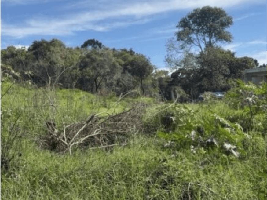 Foto ilustrativa 1 - TERRENO | IBIÚNA – SP