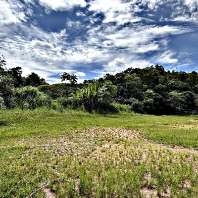 TERRENO PARA INCORPORAÇÃO IMOBILIÁRIA | COTIA/SP