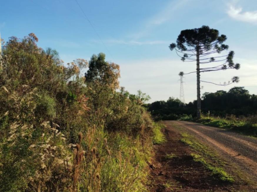 Foto ilustrativa 10 - Terreno rural