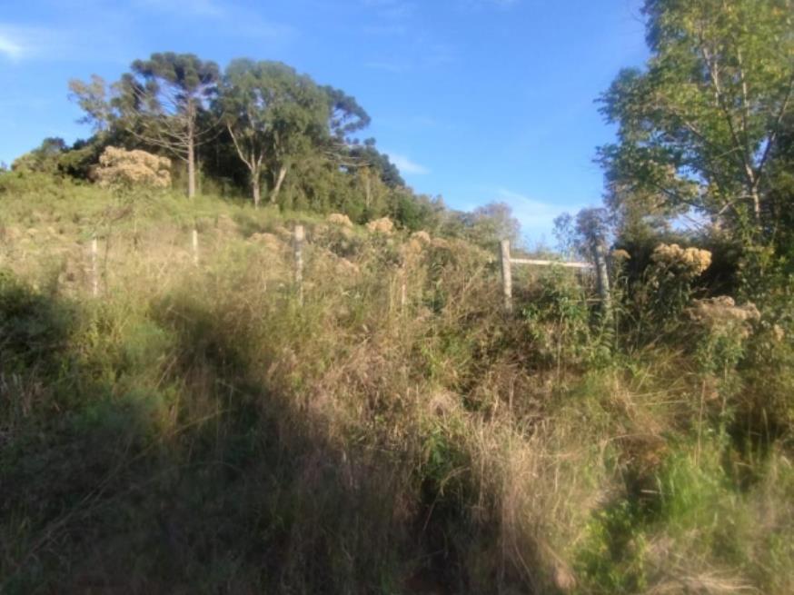 Foto ilustrativa 11 - Terreno rural