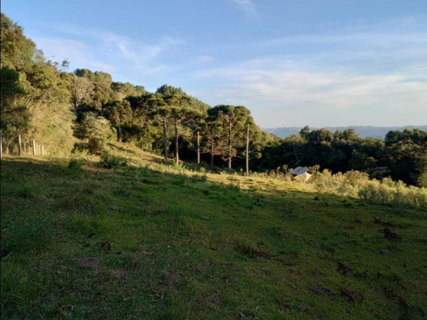 Foto ilustrativa 12 - Terreno rural