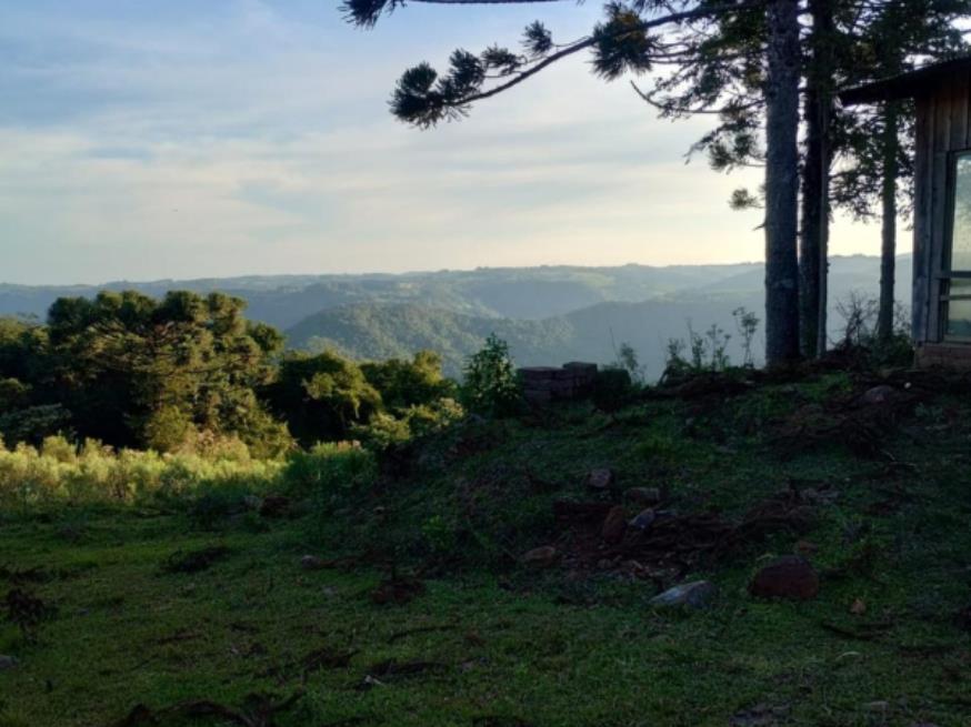 Foto ilustrativa 3 - Terreno rural