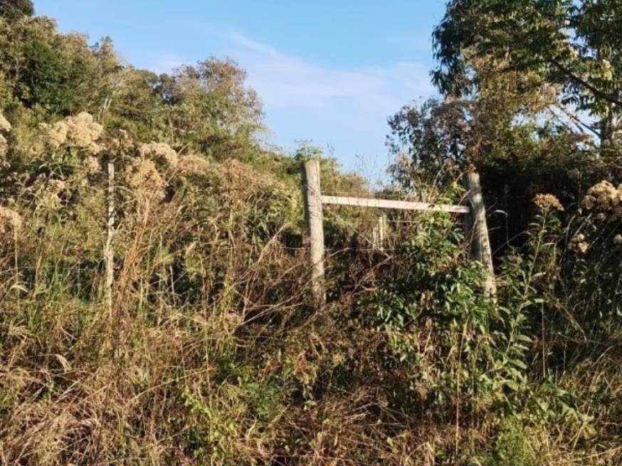 Foto ilustrativa 4 - Terreno rural