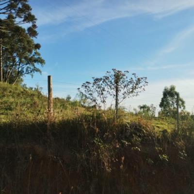 Terreno rural
