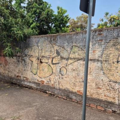 Terreno Urbano – R. Pedro Amaral, 2554 até 2590, bairro Boa Vista em São José do Rio Preto