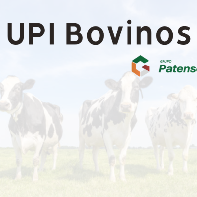 UPI Bovinos – Grupo Patense