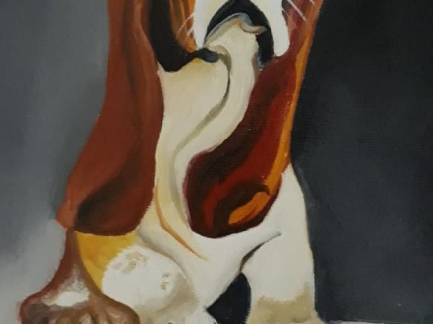Foto ilustrativa 1 - Zenivam – Cocker olhar pidão